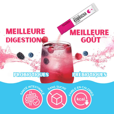 TEAZEN Kombucha Rote Beeren – 10 Beutel