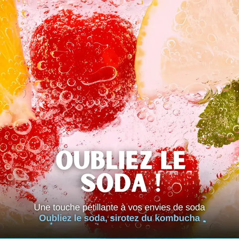 TEAZEN Kombucha Rote Beeren – 10 Beutel