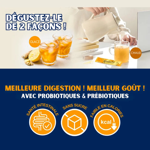 TEAZEN Kombucha Zitrone-Ingwer – 10 Sticks