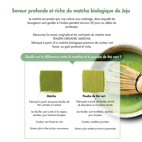 TEAZEN Matcha Premium – Jeju Grüner Tee – 500 g