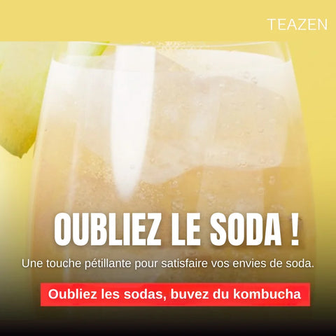 TEAZEN Apfelessig – Wellness &amp; Entgiftung – 10 Sticks